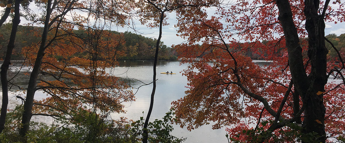 Autumn is for Women’s Causes on Long Island