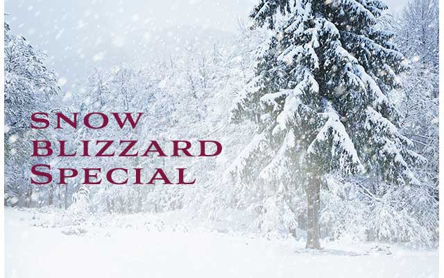 snow blizzard scene - 20% Off